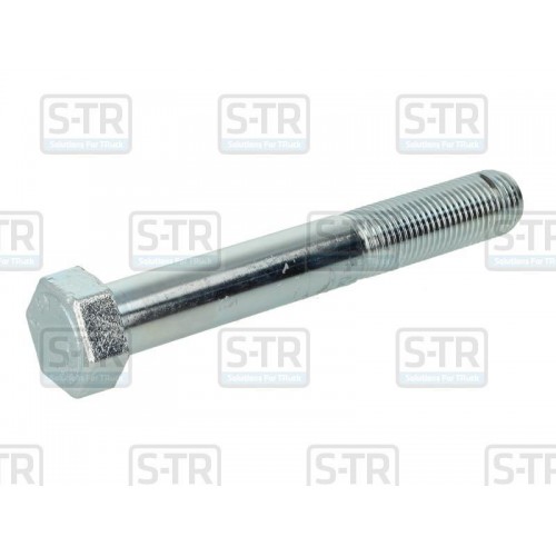 Leaf spring bolt