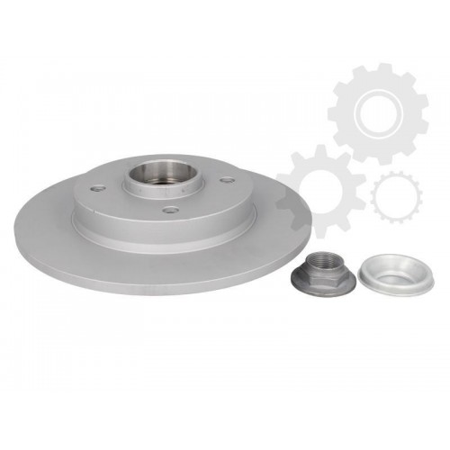 Brake disk with bearing