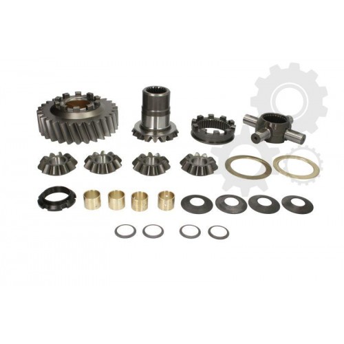 Differential assembly repair kit