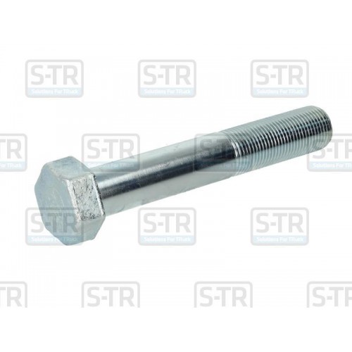 Leaf spring bolt