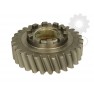 Pinion diferential