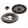 Clutch kit with bearing