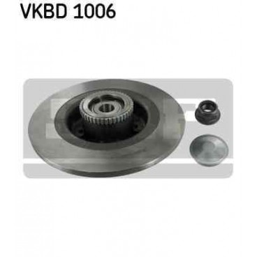 Brake disk with bearing