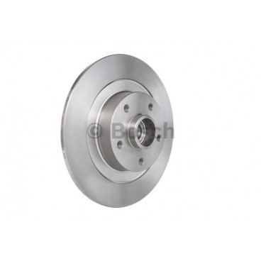 Brake disk with bearing