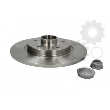 Brake disk with bearing