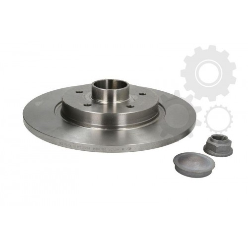 Brake disk with bearing