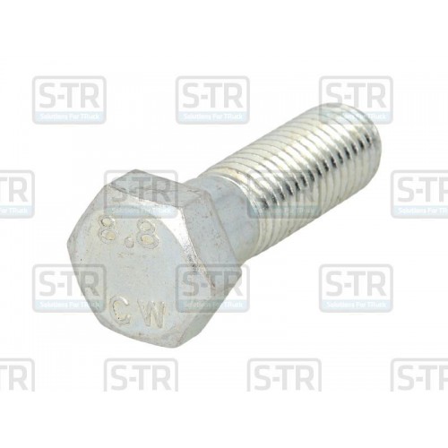 Galvanized Hex bolts