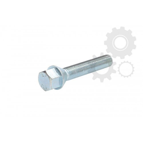 Wheel bolt