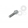 Wheel bolt