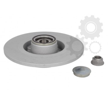 Brake disk with bearing