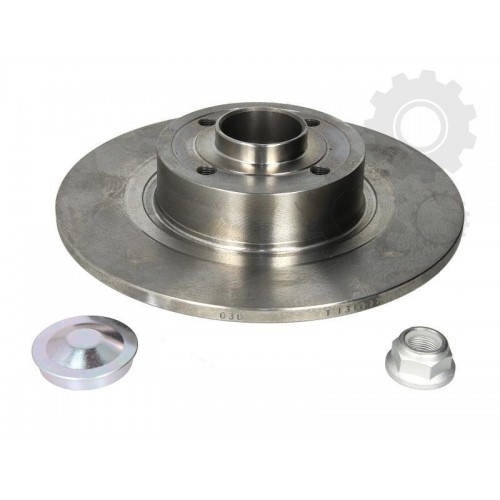 Brake disk with bearing