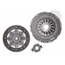 Clutch kit with bearing