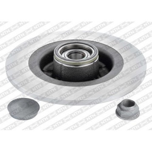 Brake disk with bearing