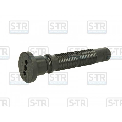 Leaf spring bolt