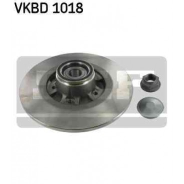 Brake disk with bearing