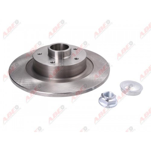 Brake disk with bearing