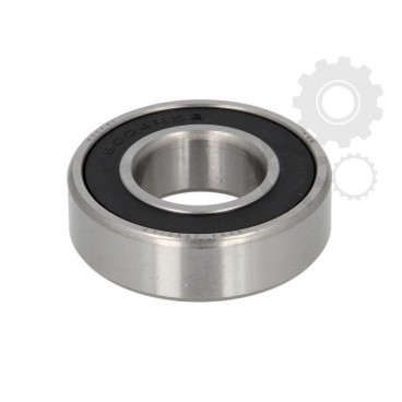 Standard ball bearing