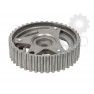 Pinion ax cu came/roata dintata