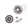 Clutch kit with bearing