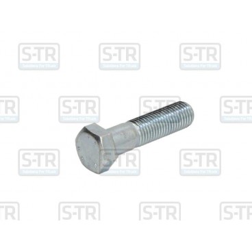 Galvanized Hex bolts