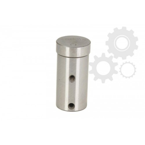 Planetary gearbox satellite pin