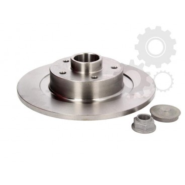 Brake disk with bearing