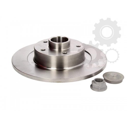 Brake disk with bearing