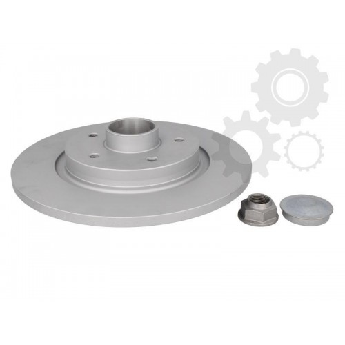 Brake disk with bearing