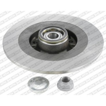 Brake disk with bearing