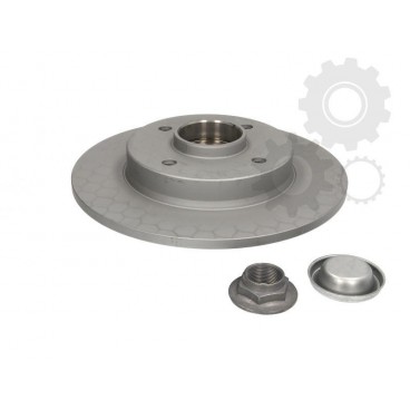 Brake disk with bearing