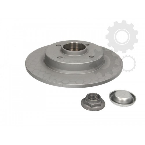 Brake disk with bearing