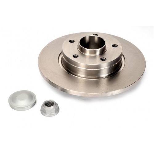 Brake disk with bearing