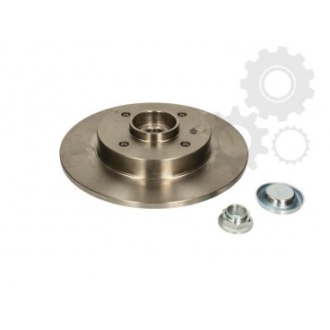 Brake disk with bearing