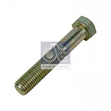 Leaf spring fixing bolt