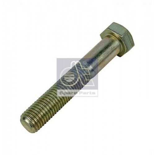 Leaf spring fixing bolt