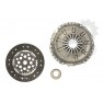 Clutch kit with bearing