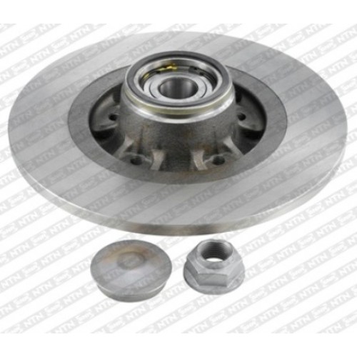 Brake disk with bearing