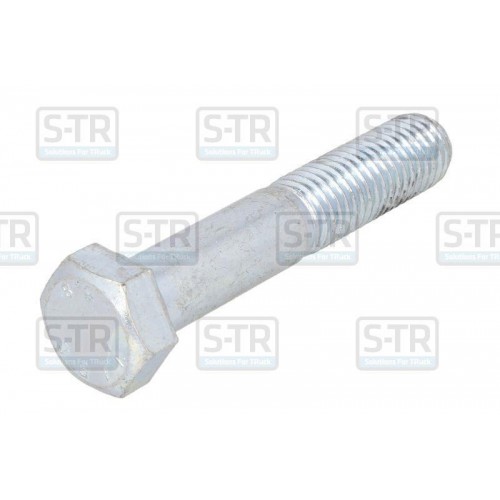 Galvanized Hex bolts