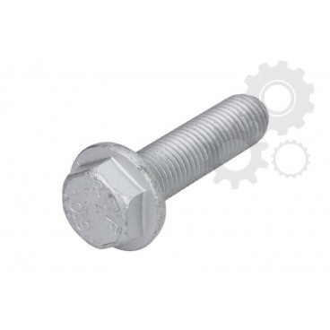 Raw Hex bolts