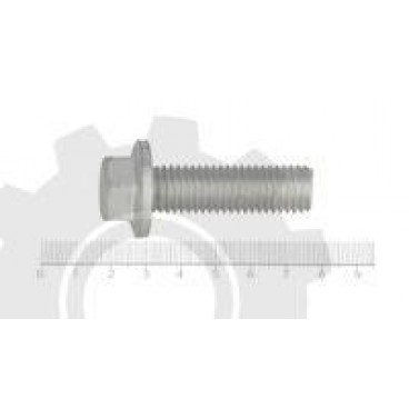 Raw Hex bolts