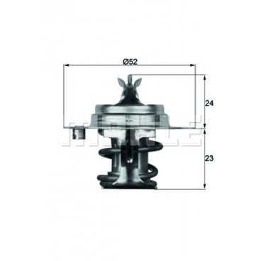 Termostat racire