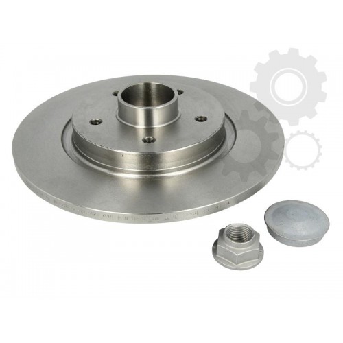 Brake disk with bearing