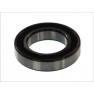 Standard ball bearing