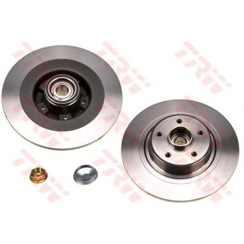 Brake disk with bearing