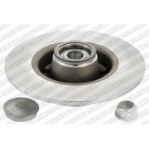 Brake disk with bearing