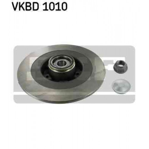 Brake disk with bearing