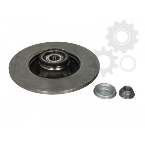 Brake disk with bearing