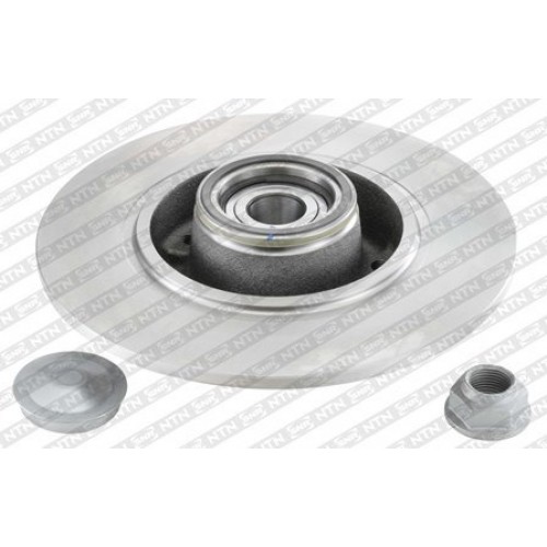 Brake disk with bearing