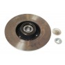 Brake disk with bearing