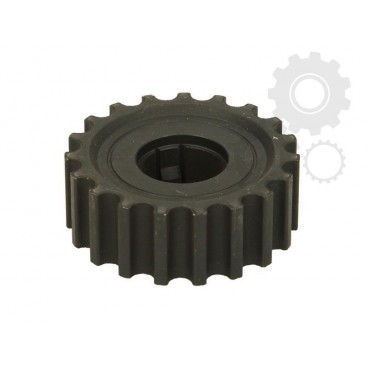 Pinion arbore cotit